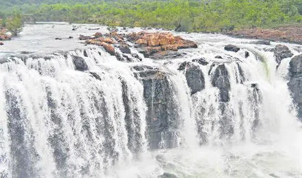 Kavitha Waterfalls