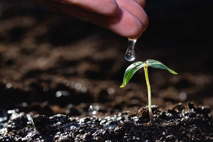 Organic compost for farming