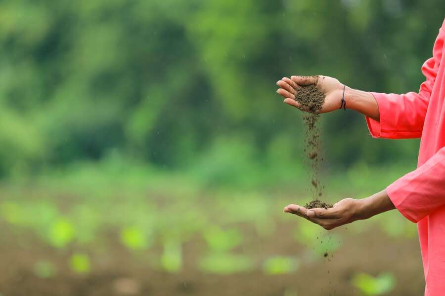 Organic compost for farming