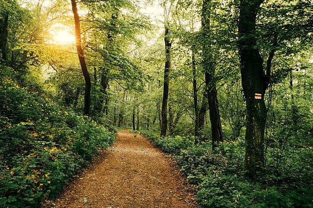 Beautiful view of Nalgonda parks and nature trails