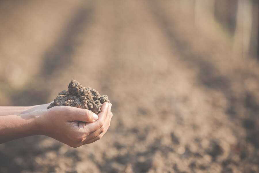 Organic compost for farming